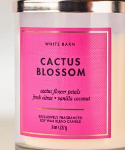 Alternative view of Cactus Blossom Single Wick Candle