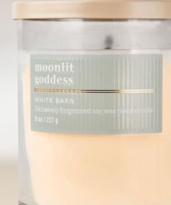 Alternative view of Moonlit Goddess Single Wick Candle