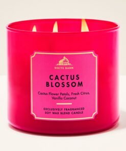 Cactus Blossom 3-Wick Candle