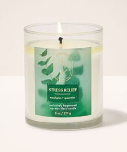 Eucalyptus Spearmint Single Wick Candle