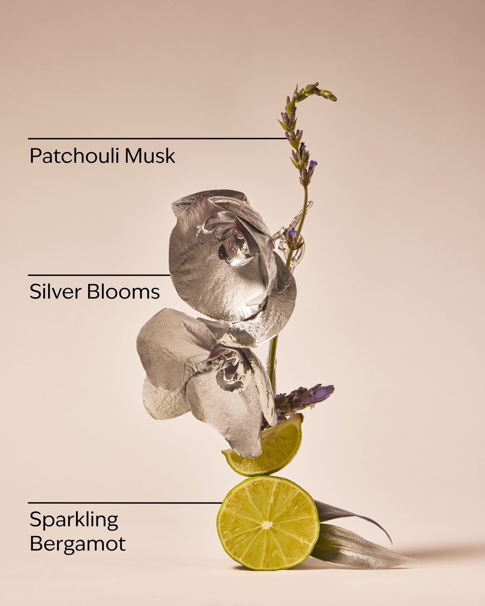 Platinum Fine Fragrance Mist - Image 3