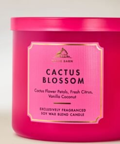 Alternative view of Cactus Blossom 3-Wick Candle
