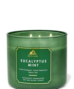 Alternative view of Eucalyptus Mint 3-Wick Candle