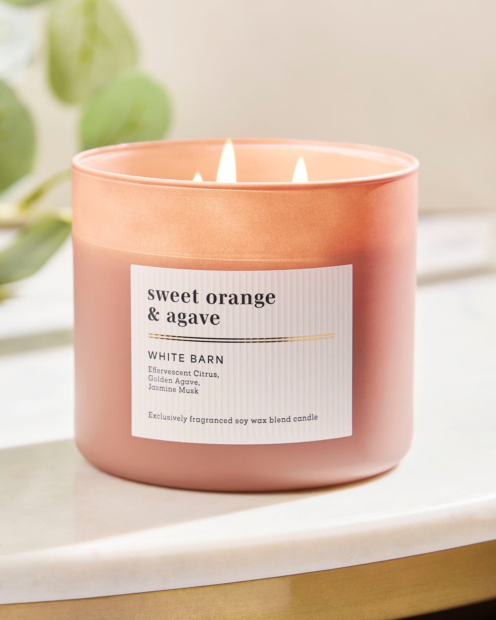 Sweet Orange & Agave 3-Wick Candle - Image 6
