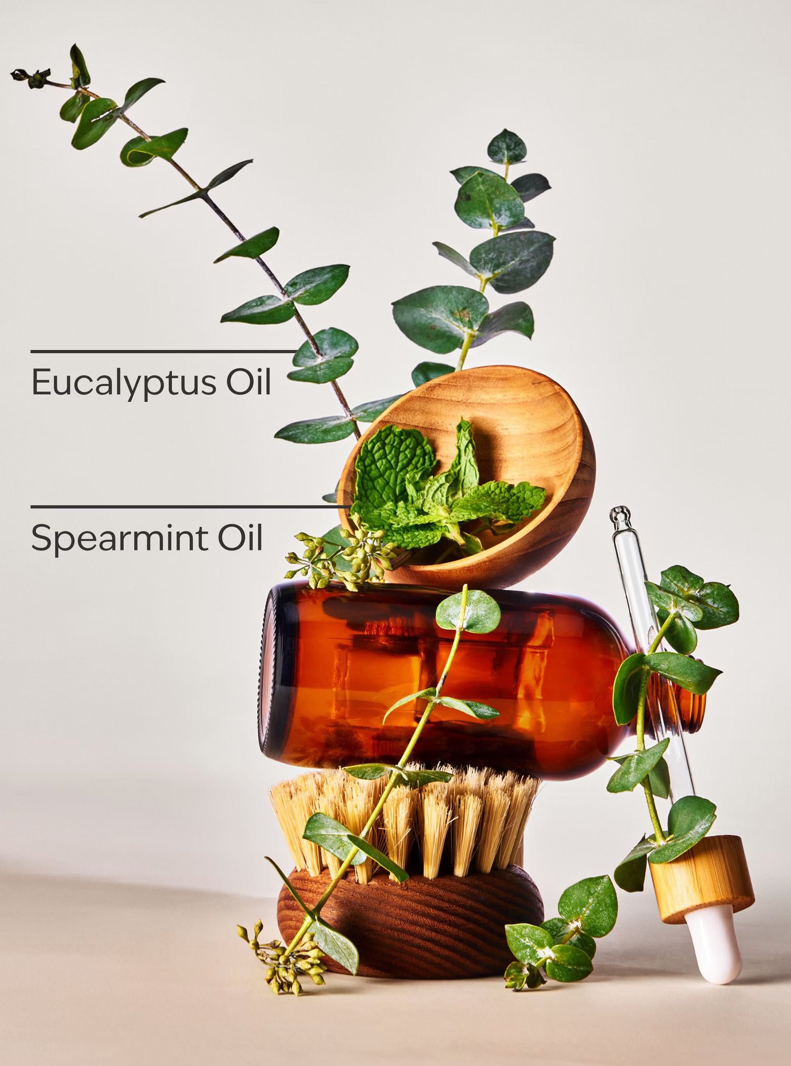Eucalyptus Spearmint Single Wick Candle - Image 3