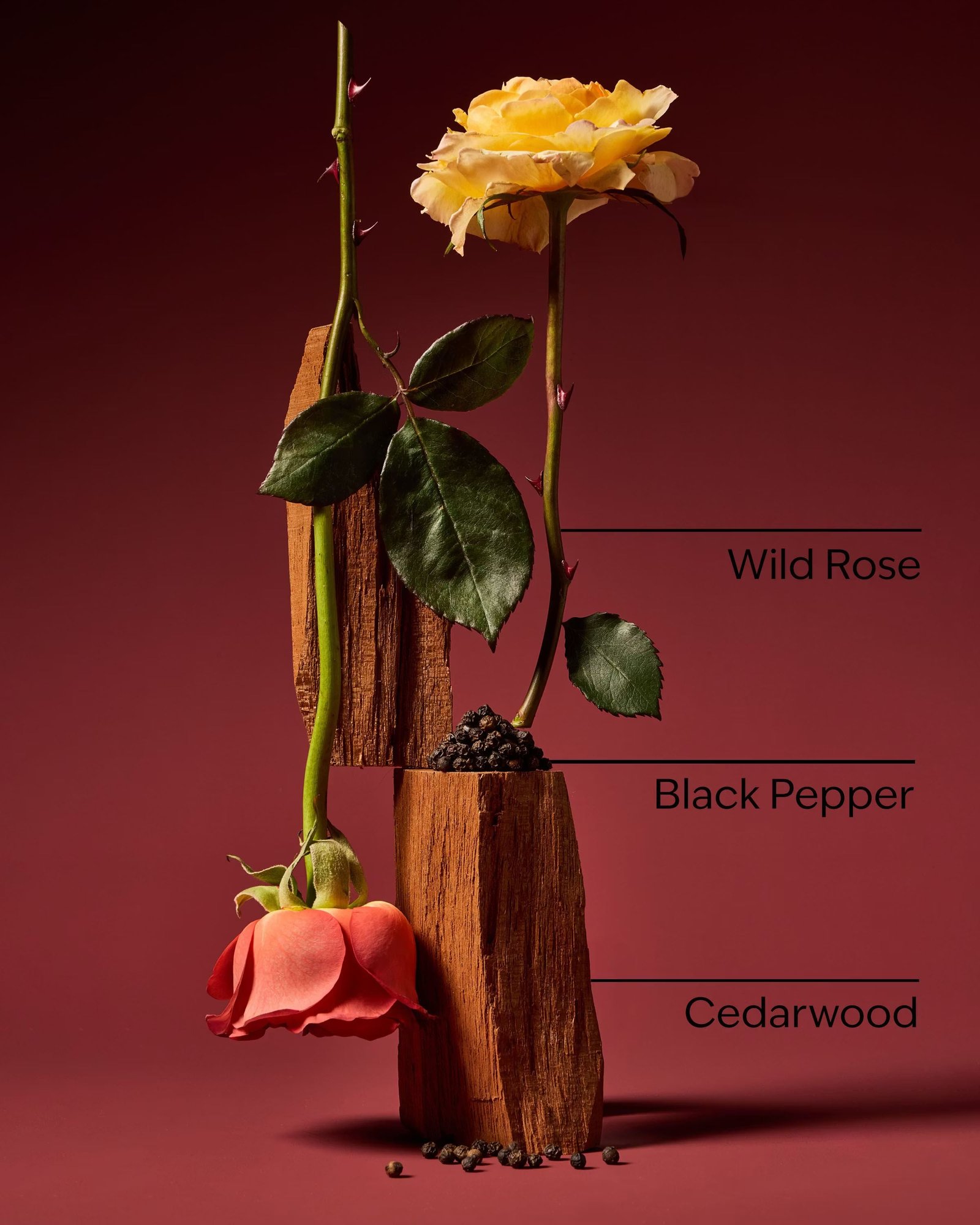 Nocturnal Rose Cologne - Image 3