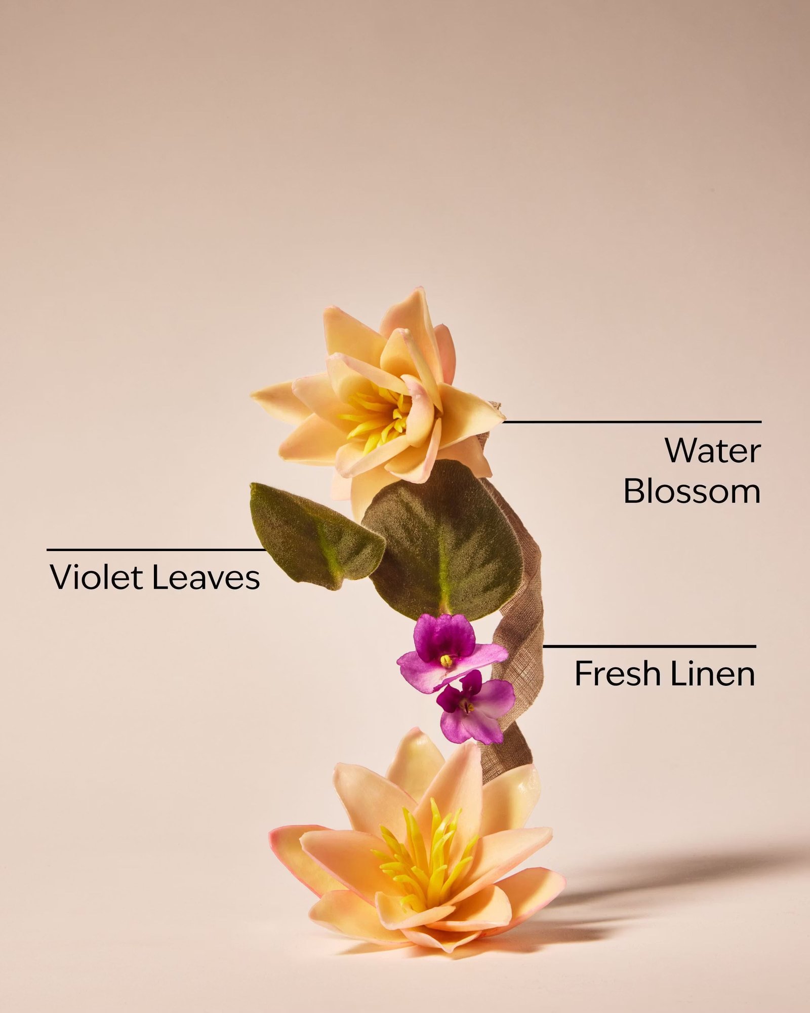 Saltwater Breeze Body Wash - Image 3
